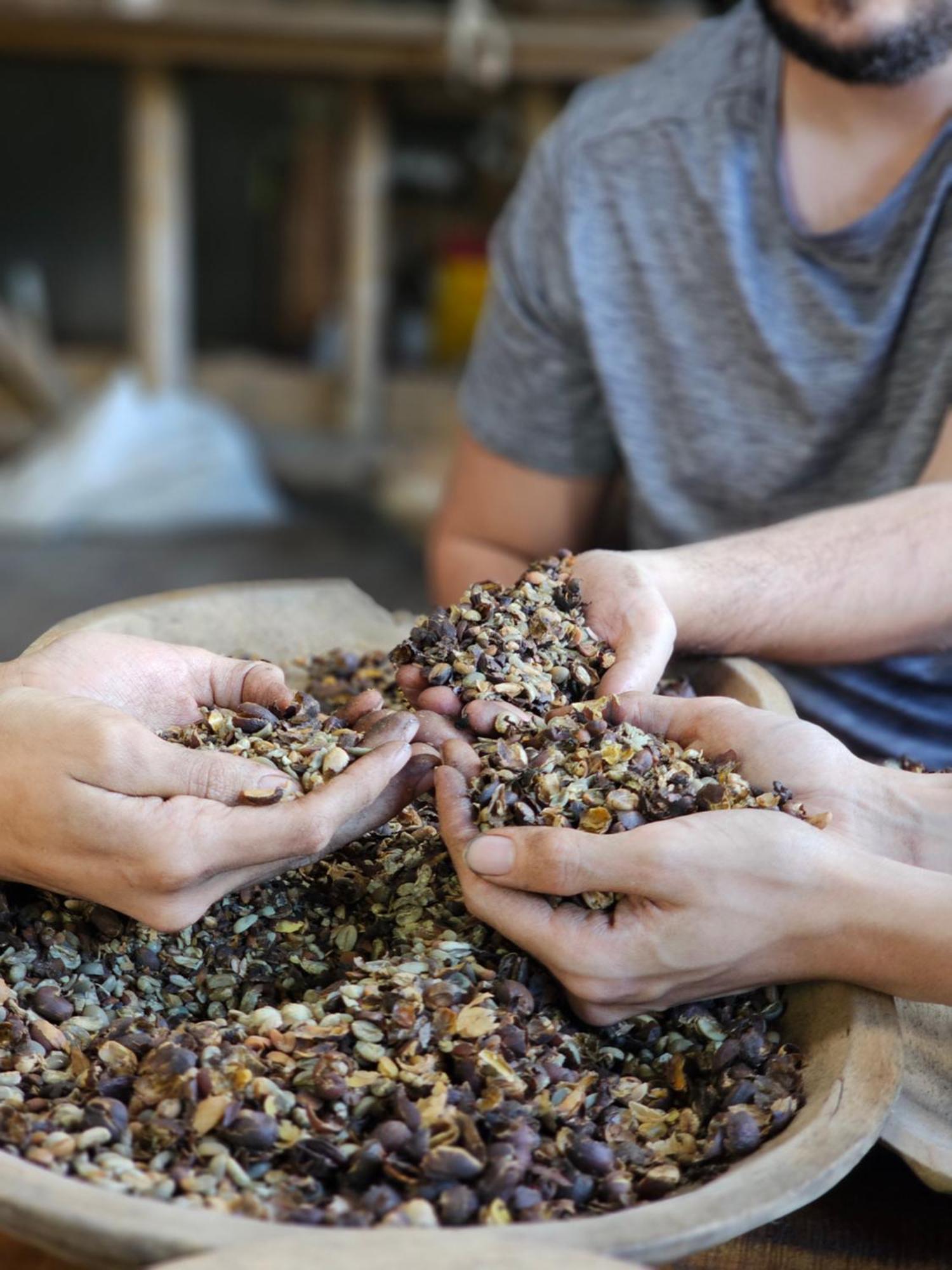 مبيت وإفطار بوكيتي Eco Horqueta المظهر الخارجي الصورة