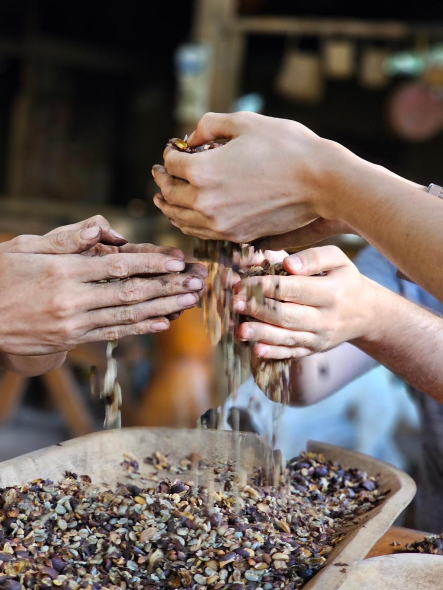 مبيت وإفطار بوكيتي Eco Horqueta المظهر الخارجي الصورة