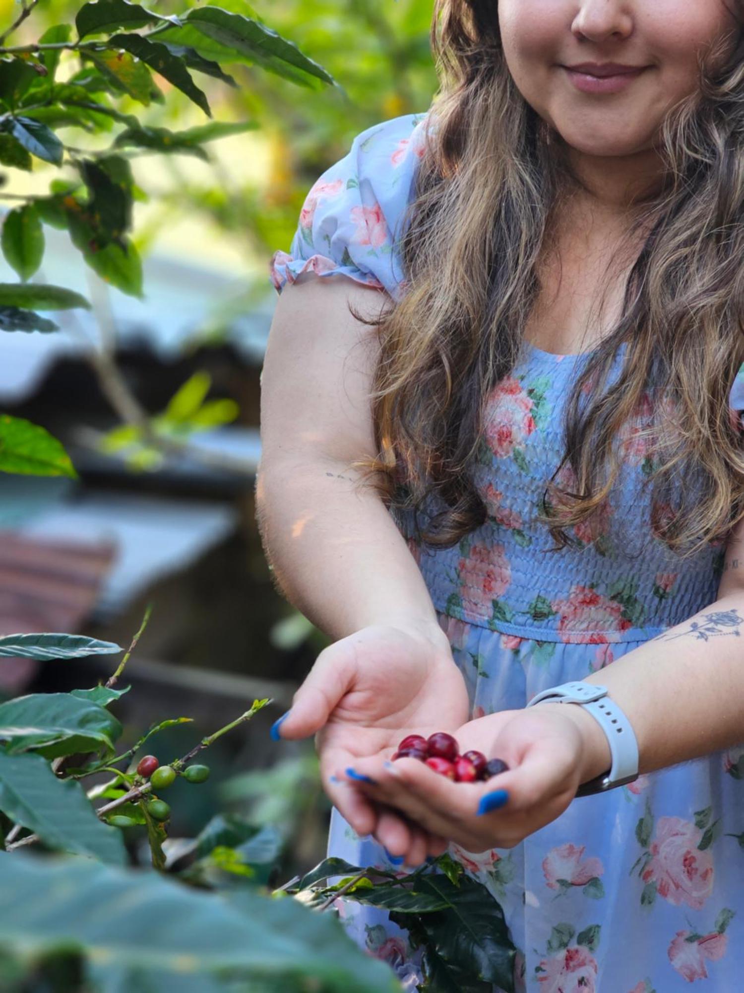 مبيت وإفطار بوكيتي Eco Horqueta المظهر الخارجي الصورة